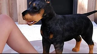 xnxx 81